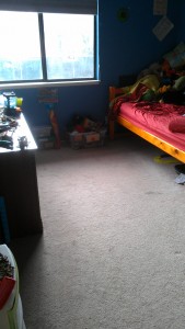 Bug's Room - After