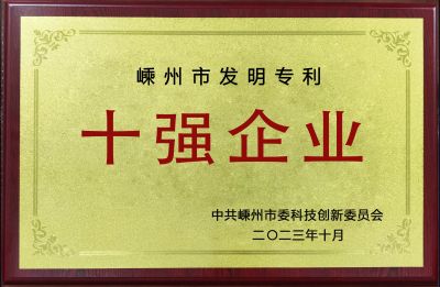 2022年度嵊州市发明专利十强企业