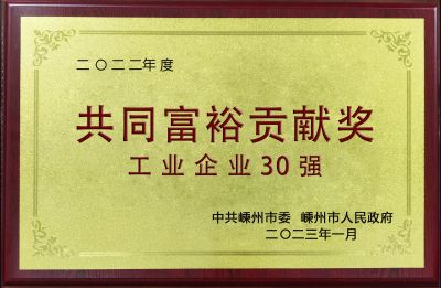 2022年度共同富裕贡献奖工业企业30强